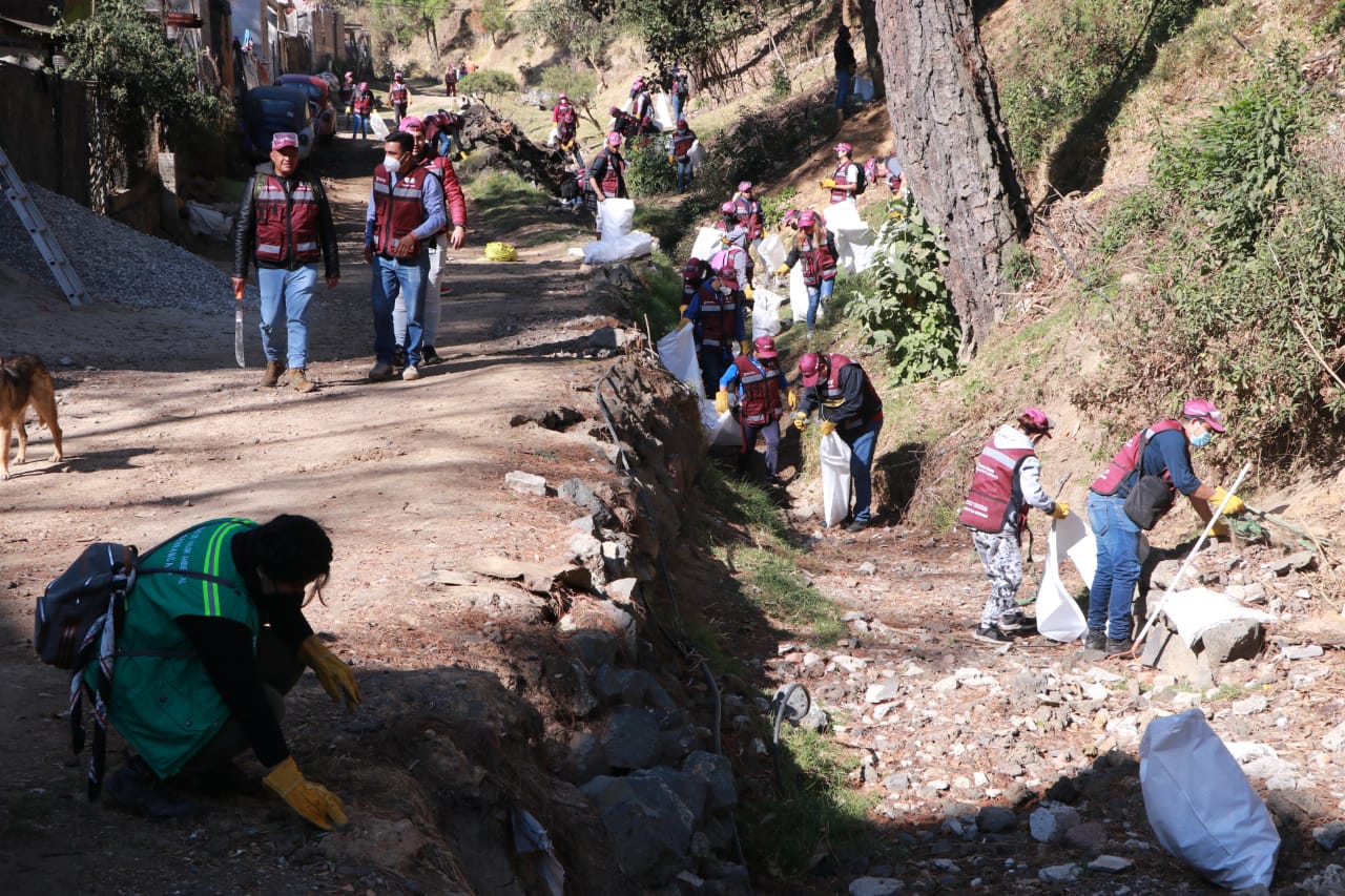 Empleo_Verde_Tlalpan_ 1.jpeg