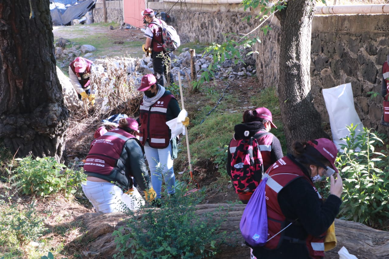 Empleo_Verde_Tlalpan_4.jpeg