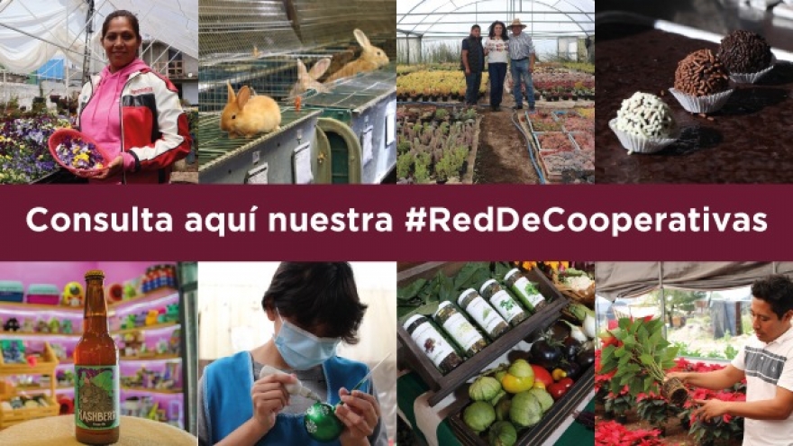 Conoce las iniciativas que integran la #RedDeCooperativas