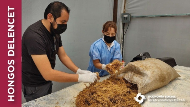 Cooperativa Hongos Delencet