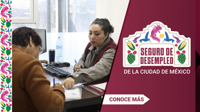 Programa Social Seguro de Desempleo