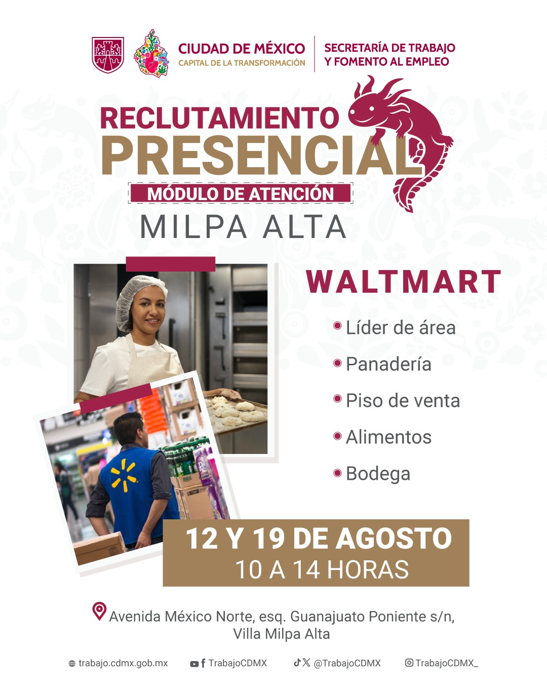 RECLUTAMIENTO_MILPA_ALTA_12_19_AGOSTO.jpeg