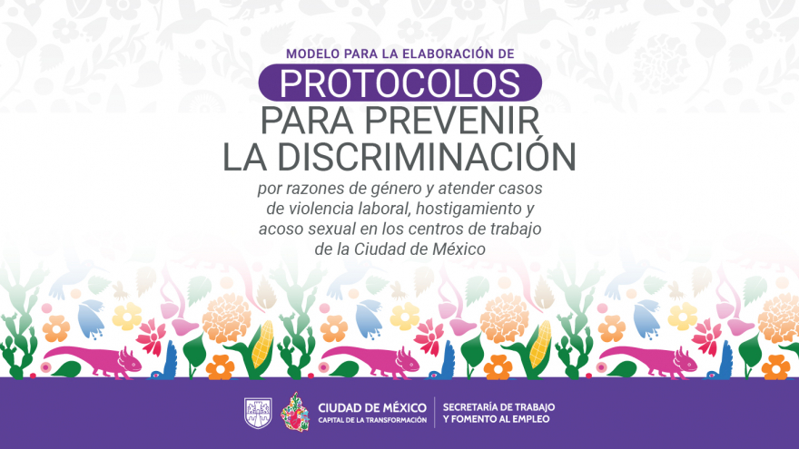 Modelo para la elaboración de protocolos para prevenir la discriminación y violencia laboral