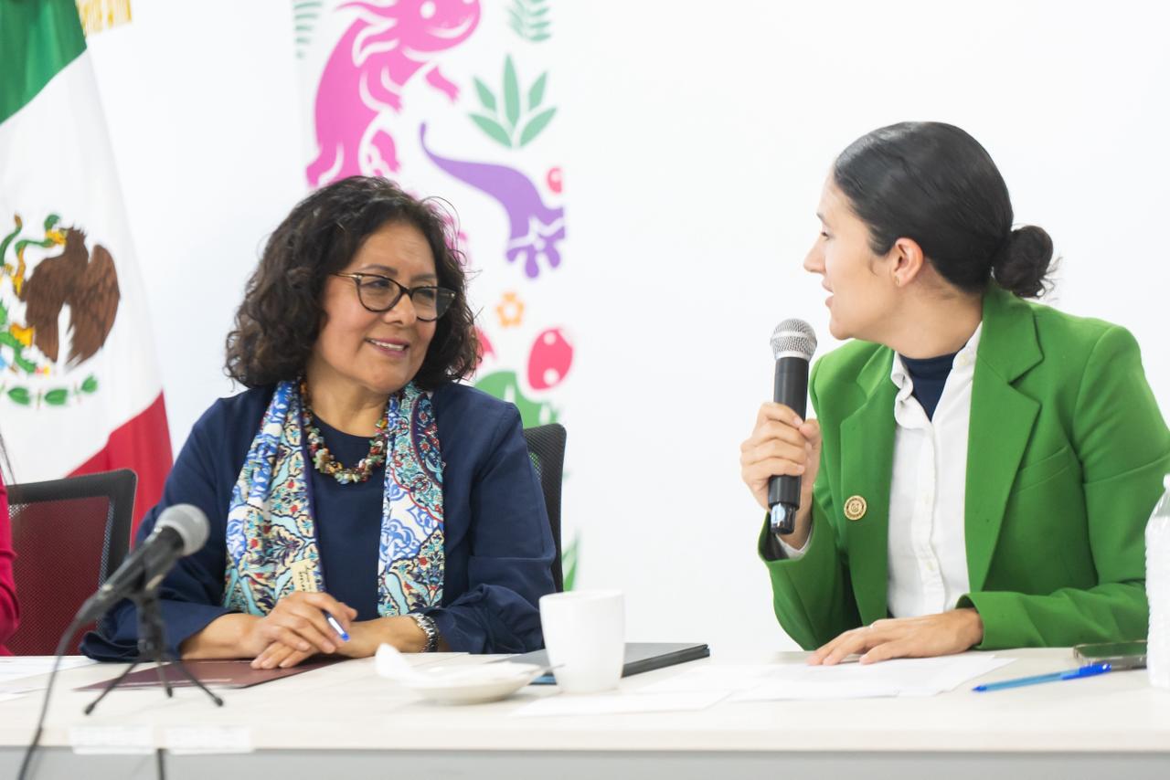 WhatsApp Image 2025-12-10 at 4.51.22 PM (1).jpeg